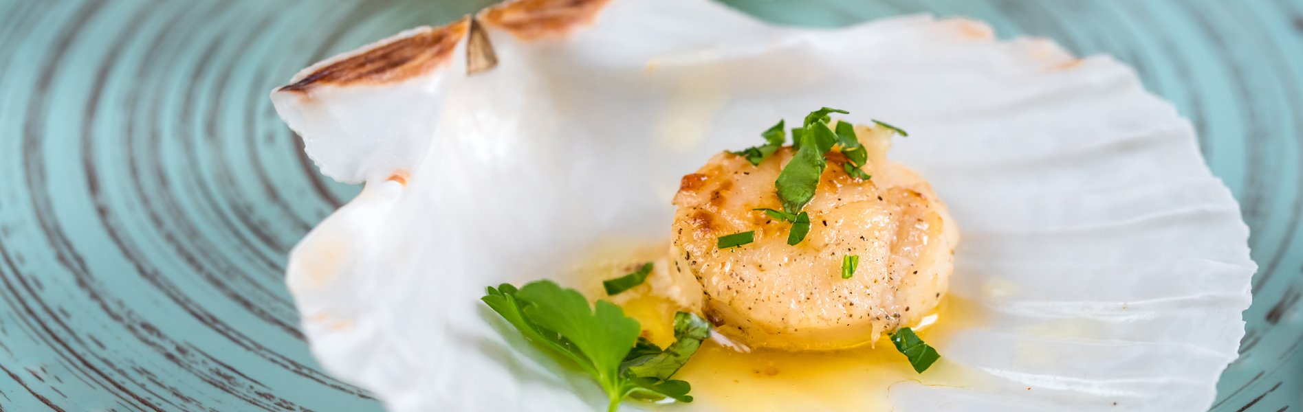 hauptgerichte-mit-fisch-unikorn-catering-und-events hauptgerichte-mit-fisch-unikorn-catering-und-events